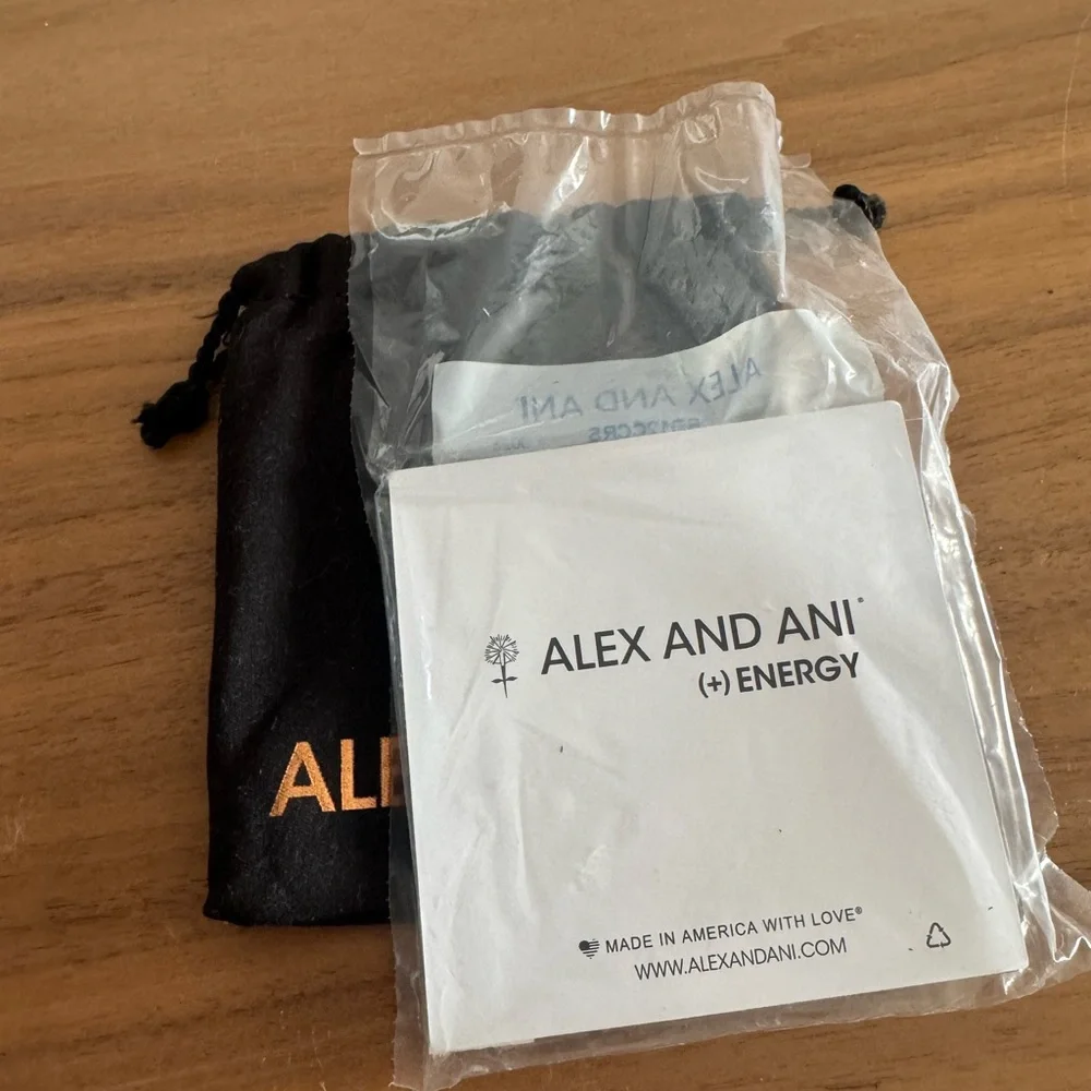 Alex and Ani Silver Cupcake Charm Bracelet - Picture 3 of 3